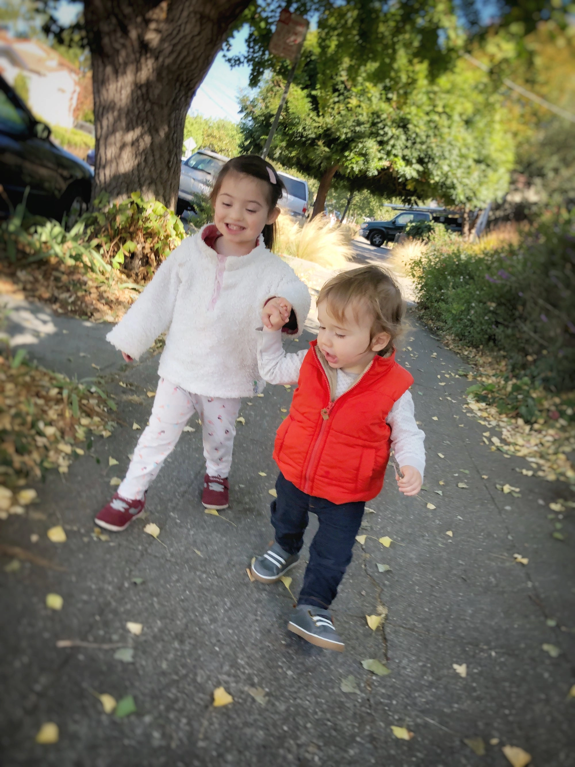 Two small children walking on a leafy path